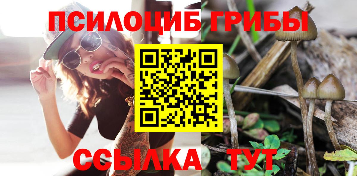 Луховицы  Псилоцибиновые грибы Psilocybe  Вход с VPN  Галлюциногенные грибы мухоморы 